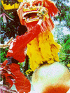 dnpp5.gif